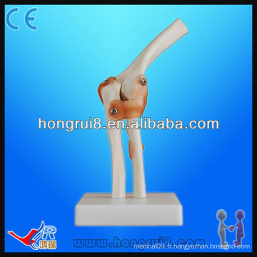 Taille de la vie avec ligament PVC Modèle de joint coudé